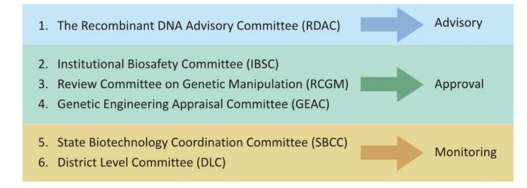 Regulatory _Framework_on_GMO
